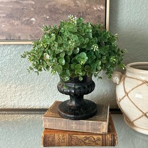 Green Eucalyptus Topiary In Urn (c)